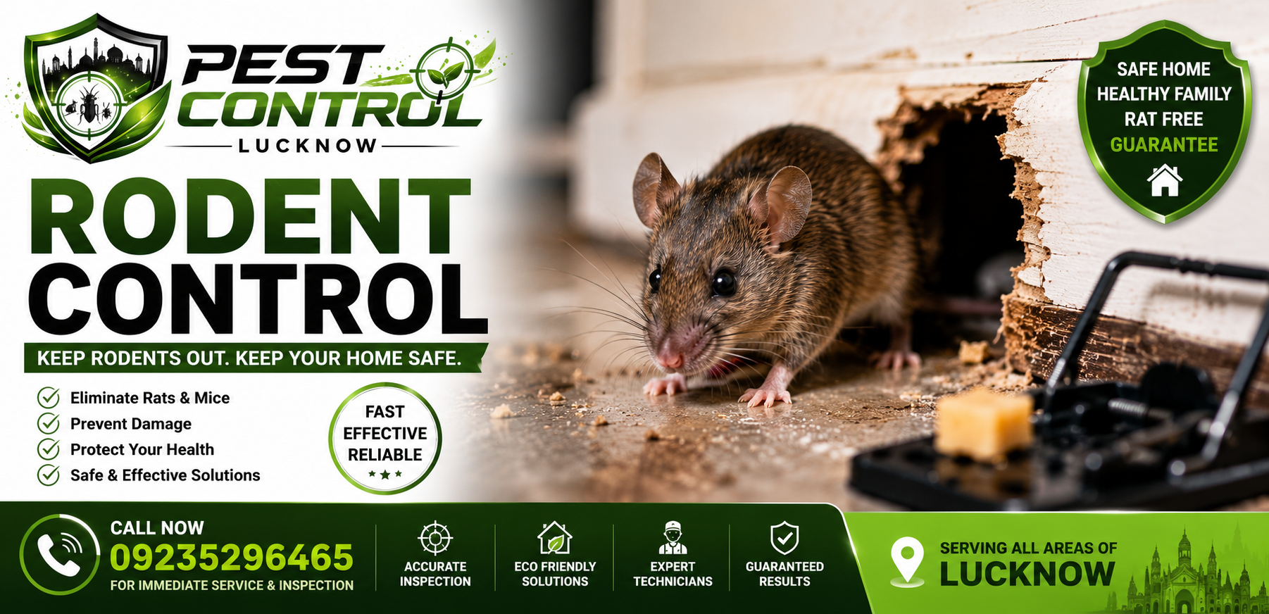 rodent -control-gomtinagar-lucknow